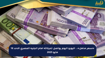 «سعر مذهل».. اليورو اليوم يواصل تحركاته أمام الجنيه المصري الأحد 18 مايو 2025